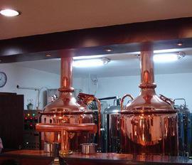 150升-1000升智能自動控溫排壓遙控系統釀酒設備出售及訂